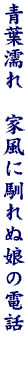 DG03