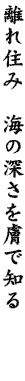 DG12
