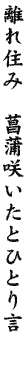 DG11