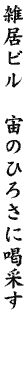 DG08