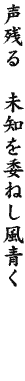 DG08