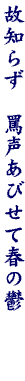 DG03
