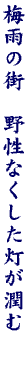 DG02
