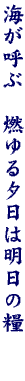 DG12