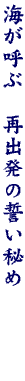 DG11