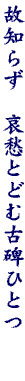 DG06