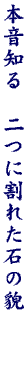 DG04