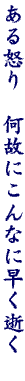 DG09