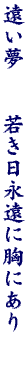 DG08
