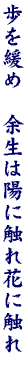 DG13