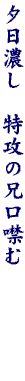 DG11